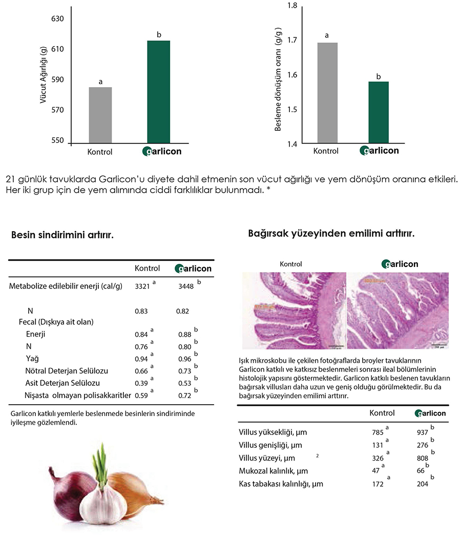 GARLICON - Broyler Tavuklarda