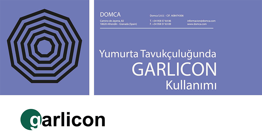 GARLICON - Yumurta Tavukçuluğunda